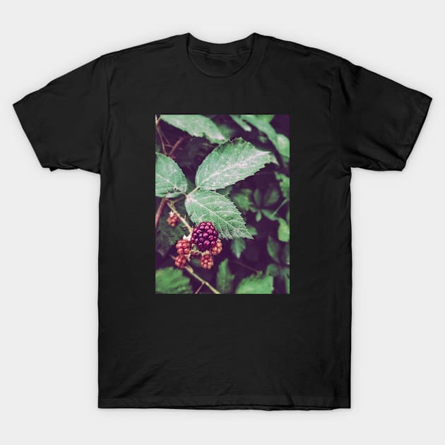 Wild Raspberries T-Shirt by CokeyPanda